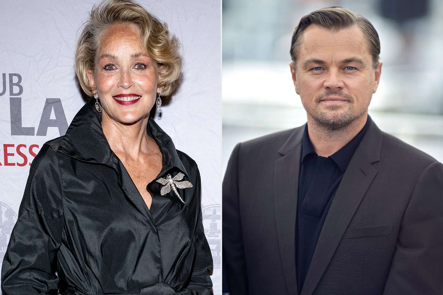 Leonardo DiCaprio Paycheck Covered By Sharon Stone